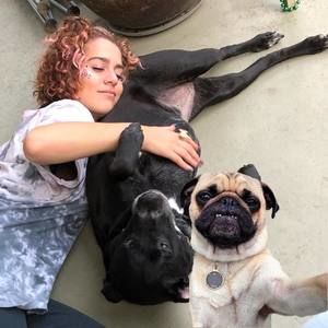 Meet your Posher, Casey